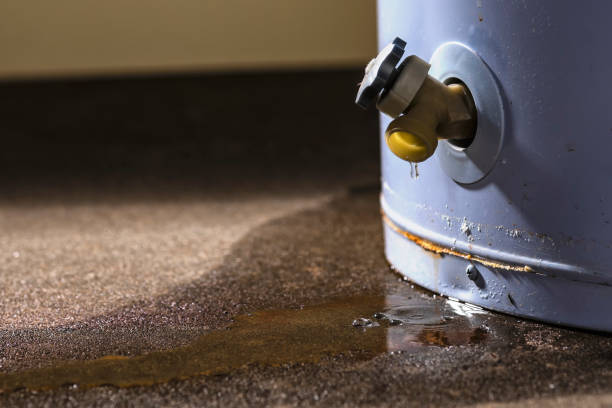 Best 24/7 water damage repair  in Wilson, NC