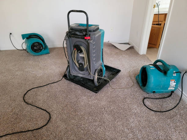 Best Mold removal after water damage  in Wilson, NC