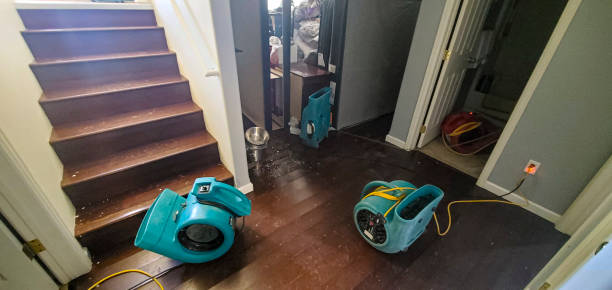 Best Professional water damage repair  in Wilson, NC