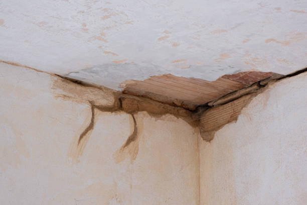 Best Water damage restoration near me  in Wilson, NC