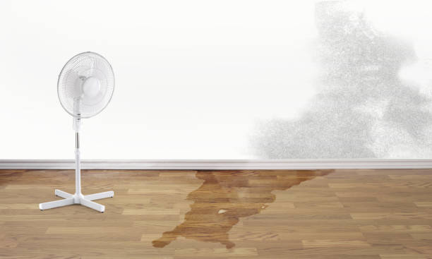 Best Emergency water damage restoration  in Wilson, NC
