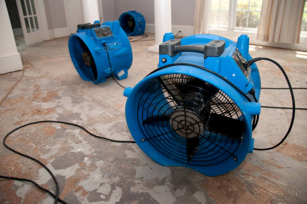  Wilson, NC Water damage restoration Pros