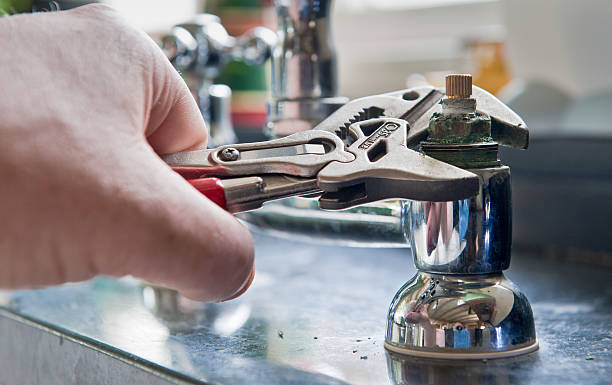 Best Water damage cleanup near me  in Wilson, NC