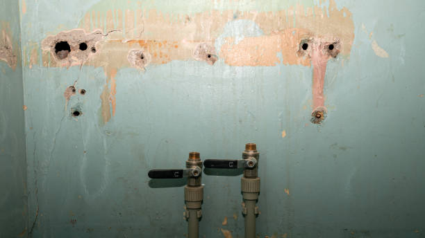 Best Professional water damage repair  in Wilson, NC