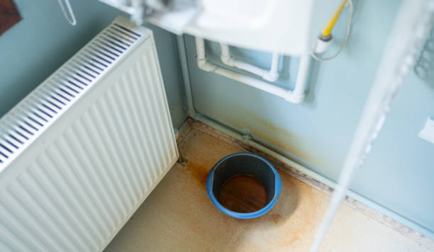 Best Water damage mitigation services  in Wilson, NC