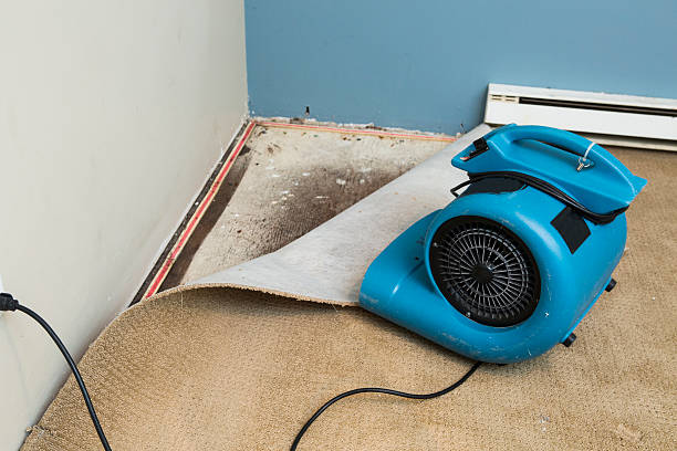 Best Sewage cleanup and water damage restoration  in Wilson, NC